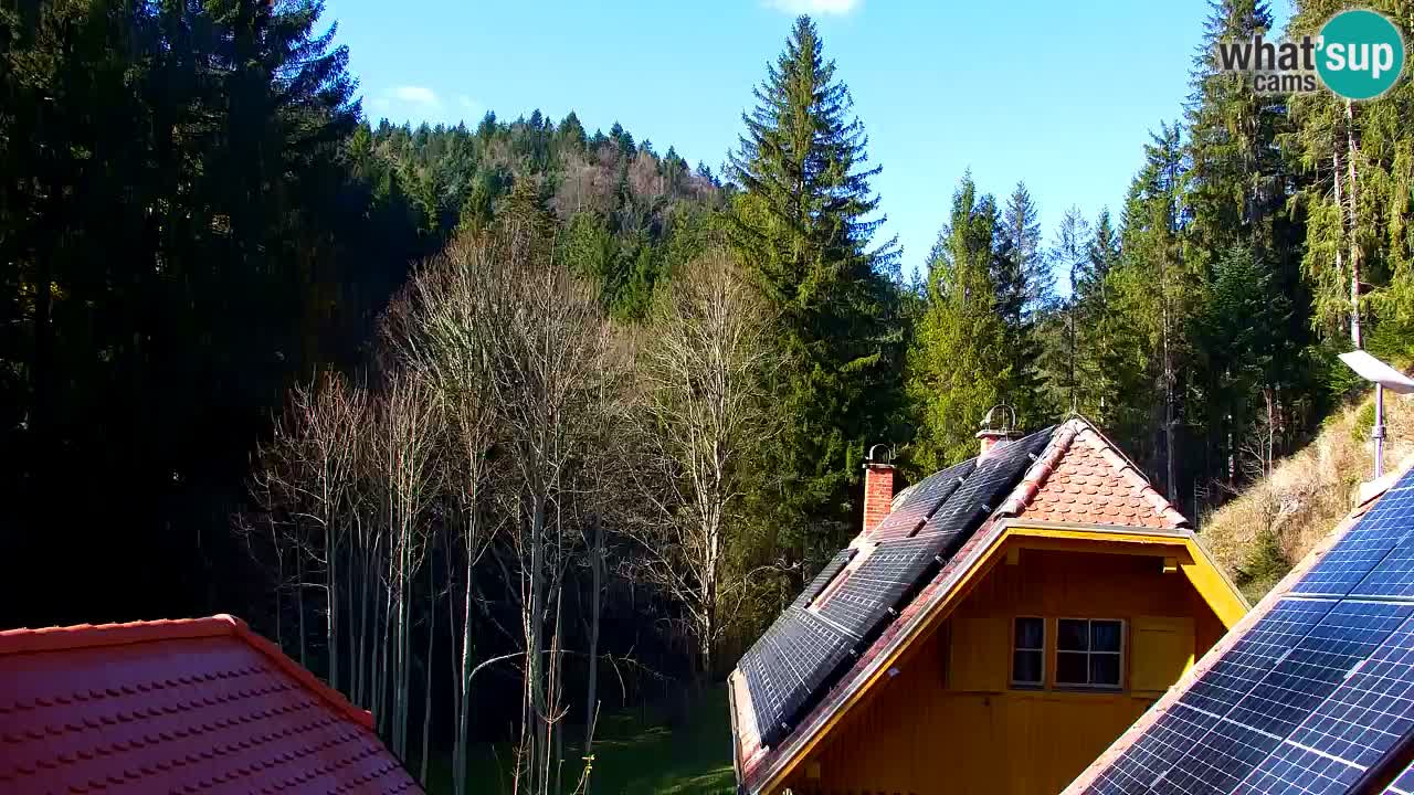 Webcam Lukanja – Pohorje houses a Water village
