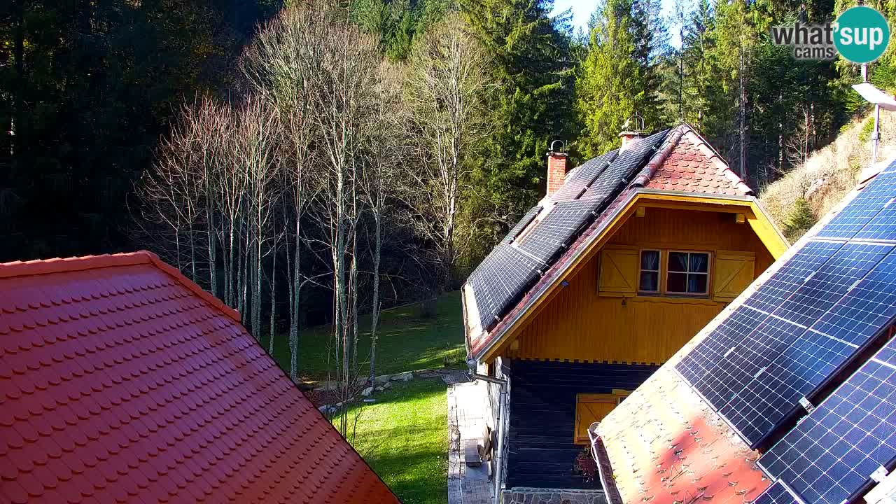 Webcam Lukanja – Water Village | Pohorje Houses
