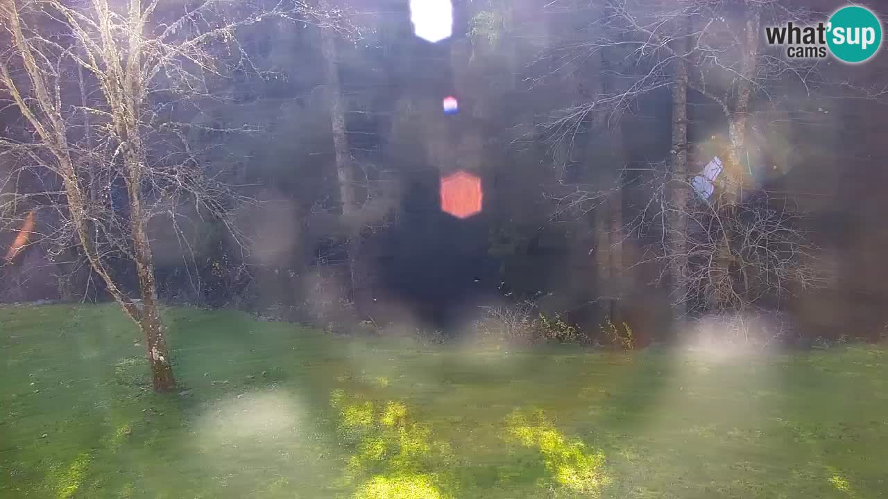 Webcam Lukanja – Water Village | Pohorje Houses