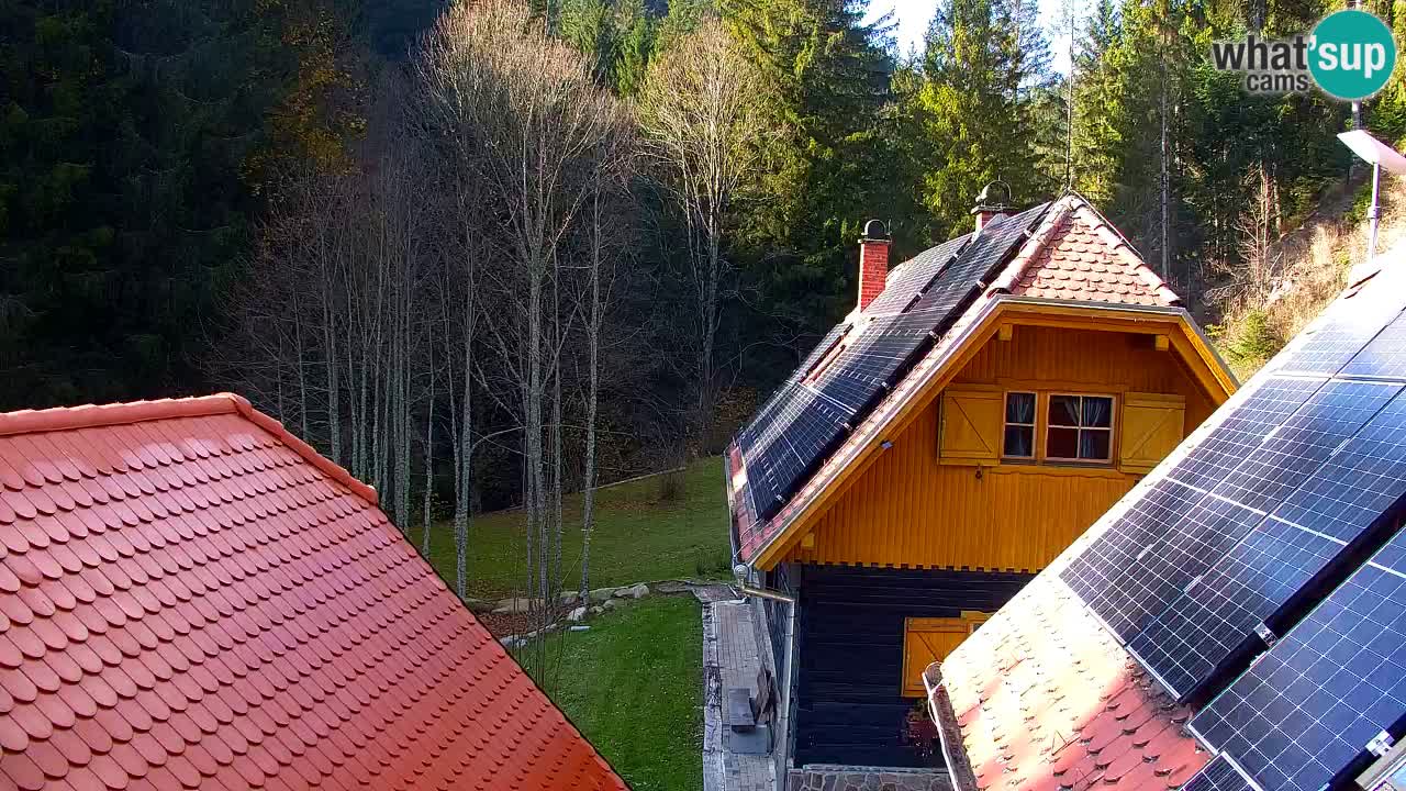 Web kamera Lukanja – Water Village | Pohorje Houses
