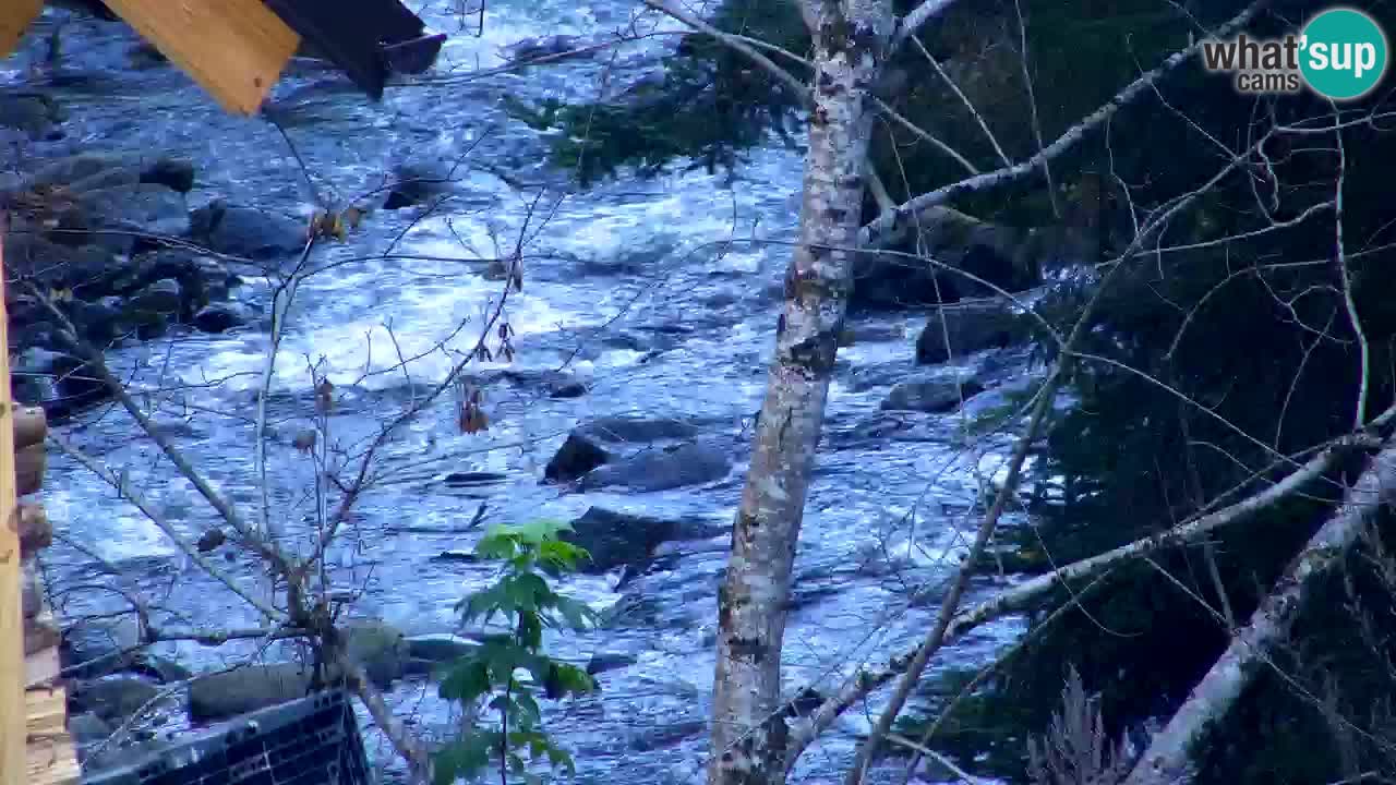 Spletna kamera Lukanja – Water Village | Pohorje Houses