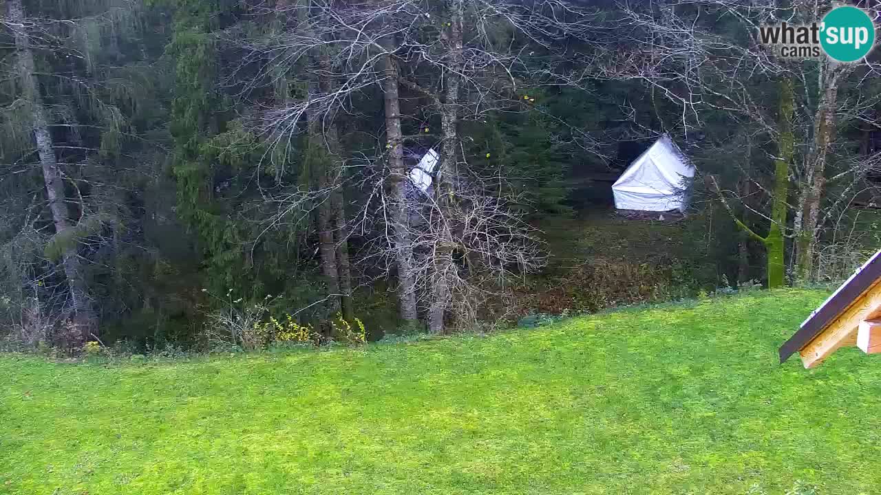 Webcam Lukanja – Pohorje houses a Water village