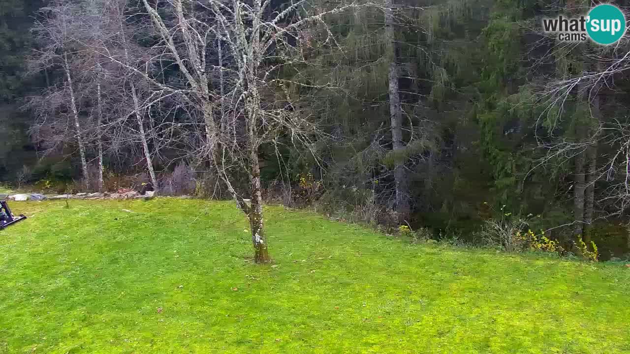 Web kamera Lukanja – Water Village | Pohorje Houses