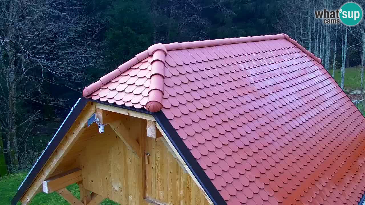 Webcam Lukanja – Pohorje houses a Water village