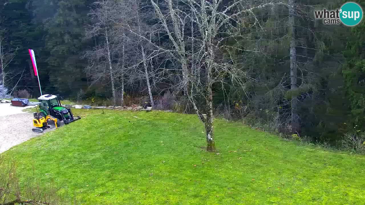 Webcam Lukanja – Pohorje houses a Water village