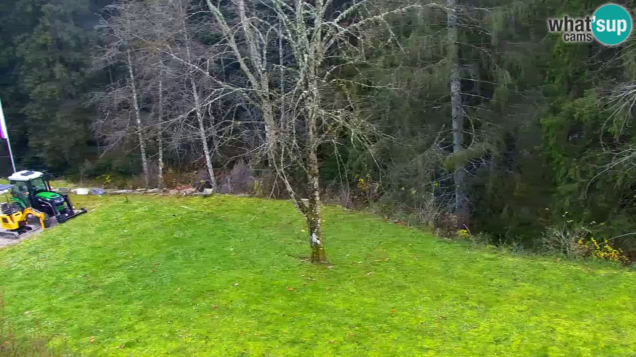 Spletna kamera Lukanja – Water Village | Pohorje Houses