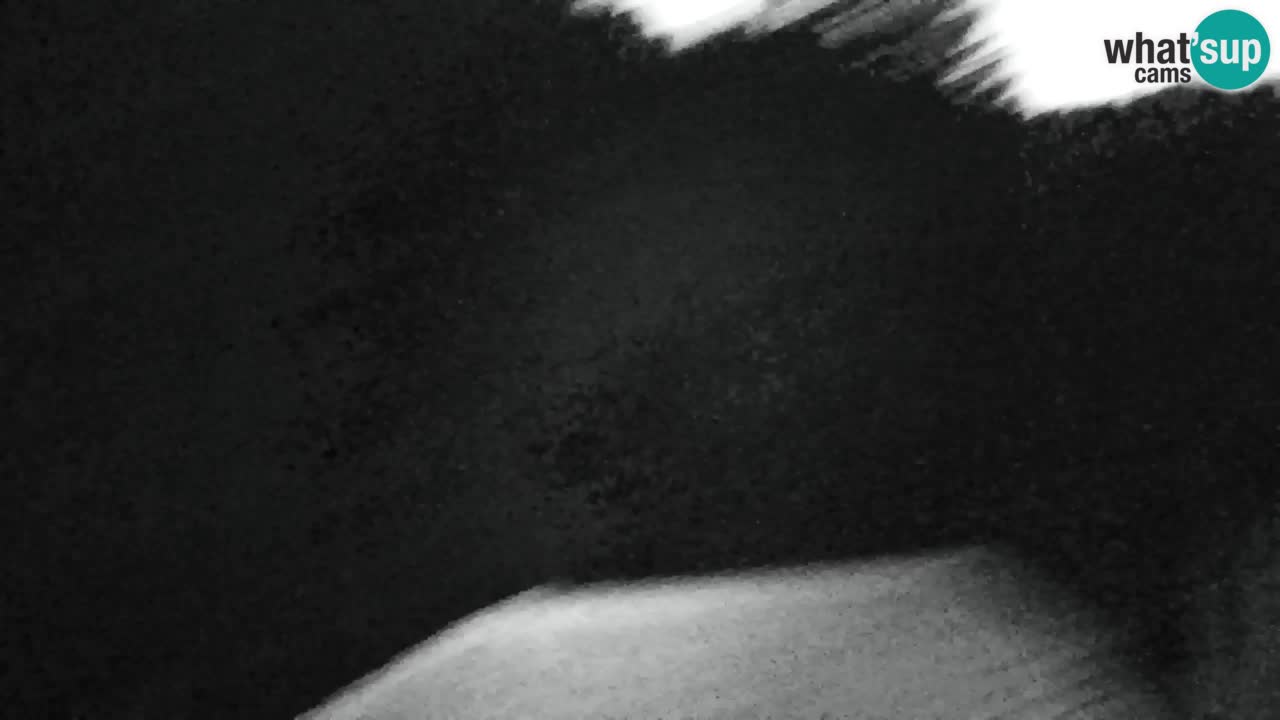 Web kamera Lukanja – Water Village | Pohorje Houses