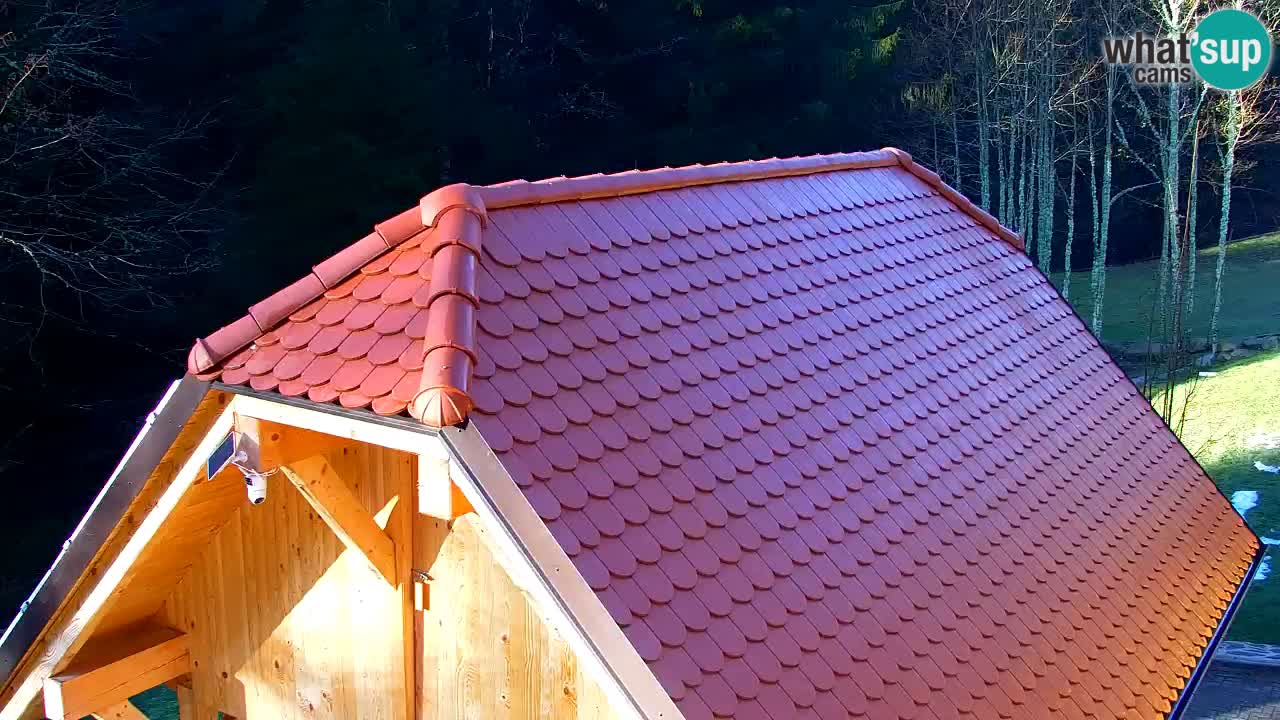 Spletna kamera Lukanja – Water Village | Pohorje Houses