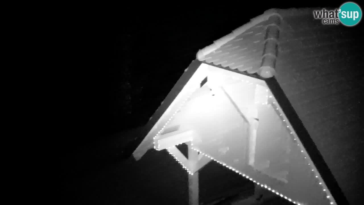 Webcam Lukanja – Pohorje houses a Water village