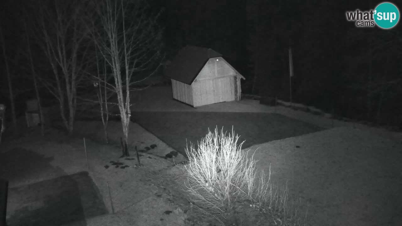 Webcam Lukanja – Water Village | Pohorje Houses