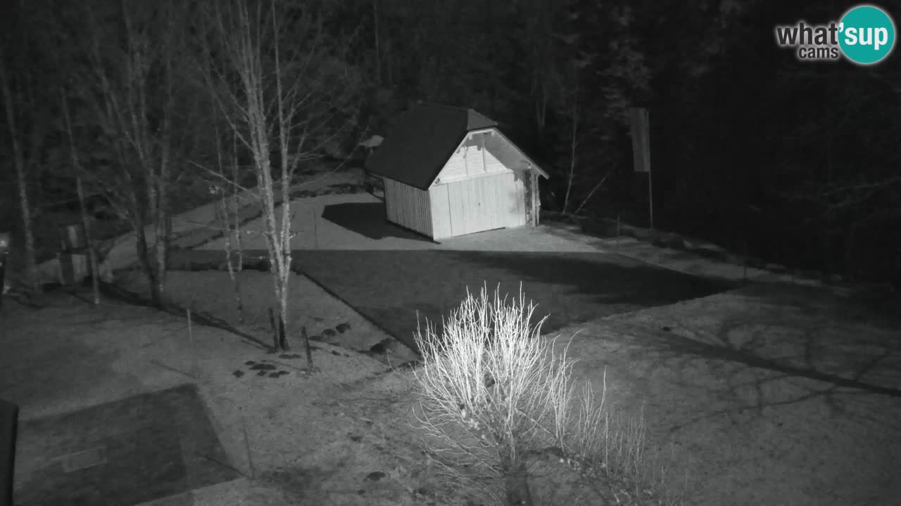 Webcam Lukanja – Water Village | Pohorje Houses