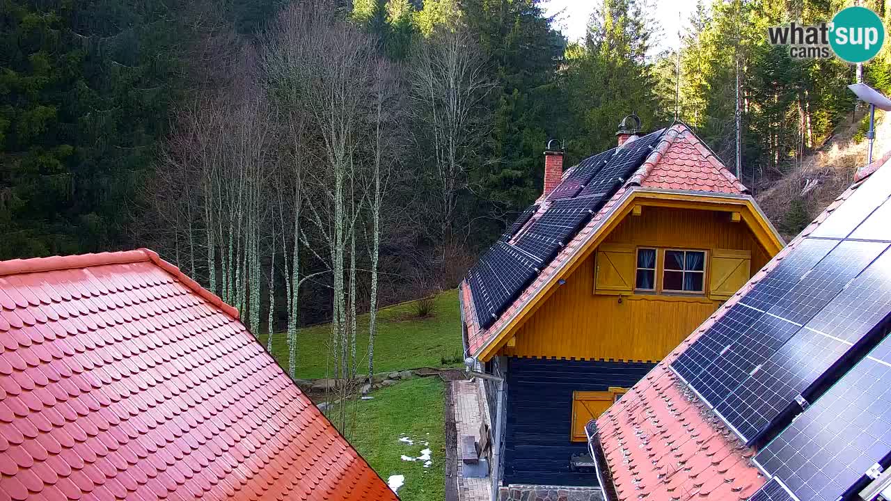 Webcam Lukanja – Pohorje houses a Water village