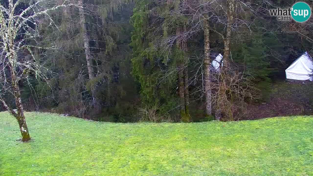 Webcam Lukanja – Pohorje houses a Water village