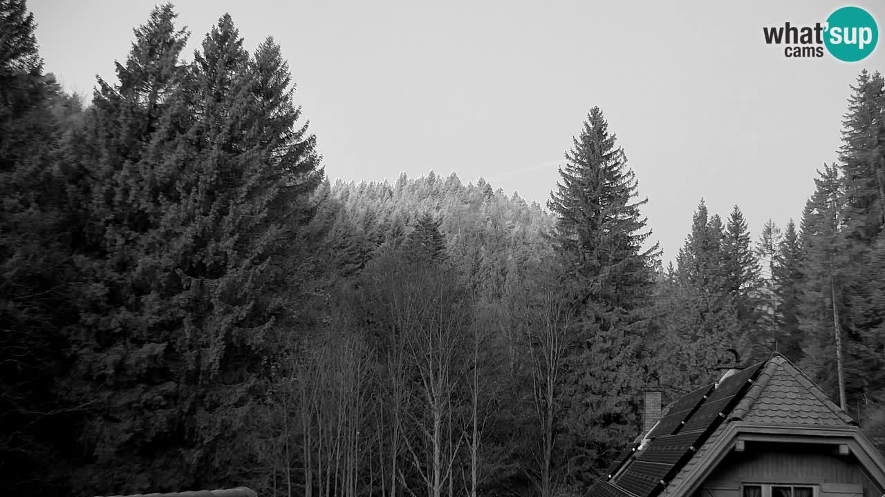 Webcam Lukanja – Water Village | Pohorje Houses