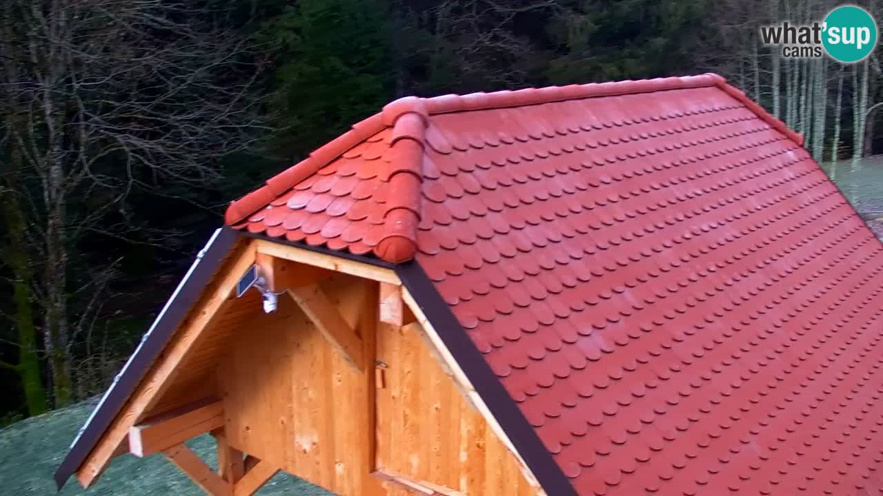 Webcam Lukanja – Water Village | Pohorje Houses