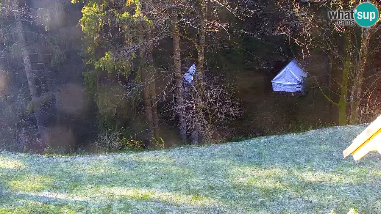 Webcam Lukanja – Pohorje houses a Water village