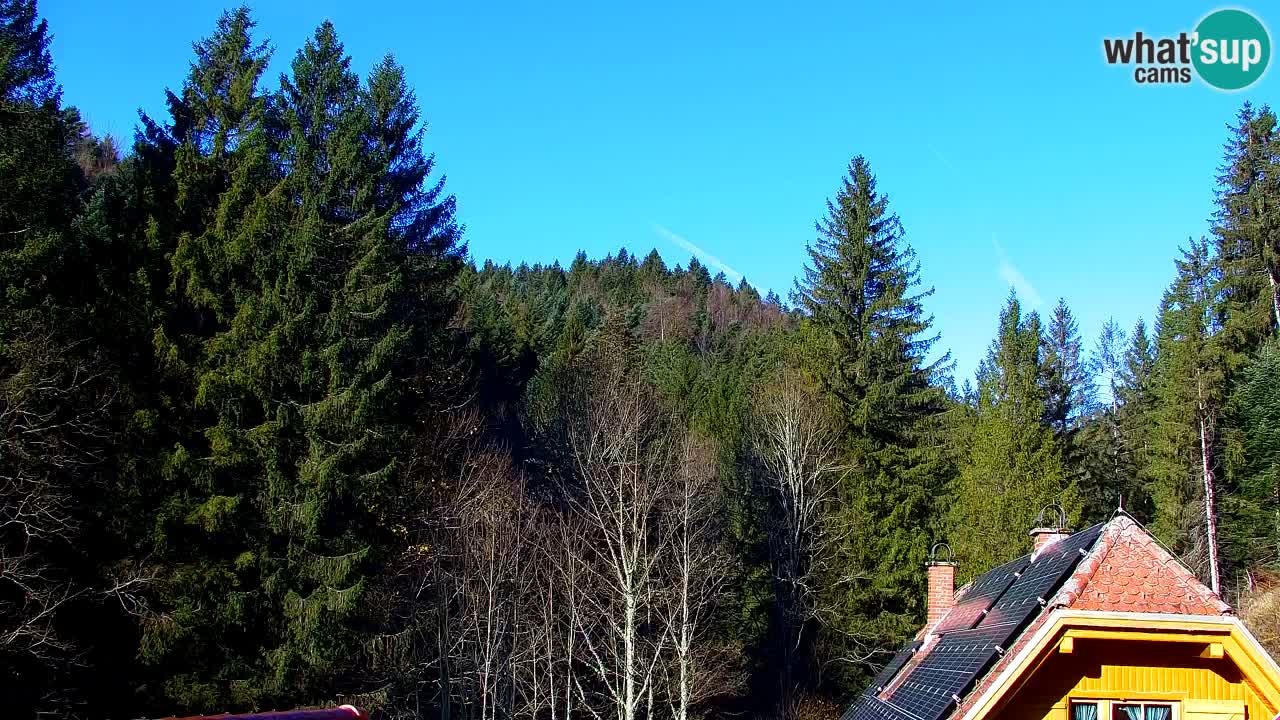 Webcam Lukanja – Pohorje houses a Water village