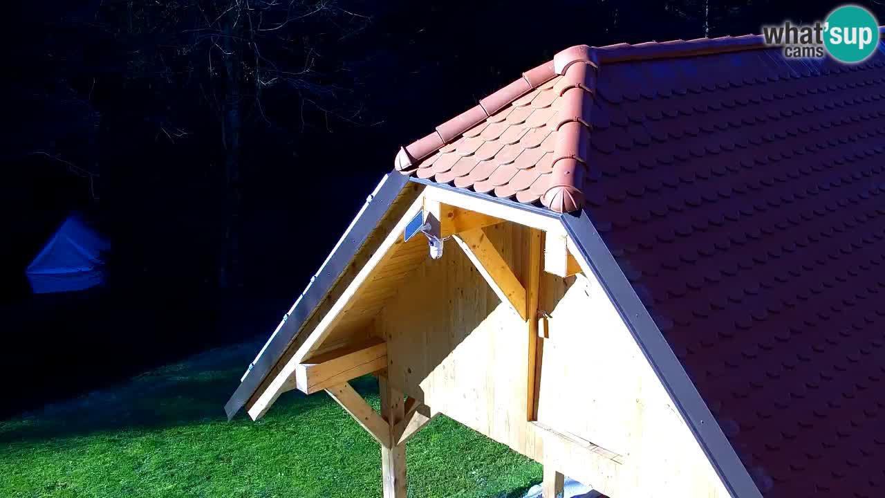 Webcam Lukanja – Water Village | Pohorje Houses