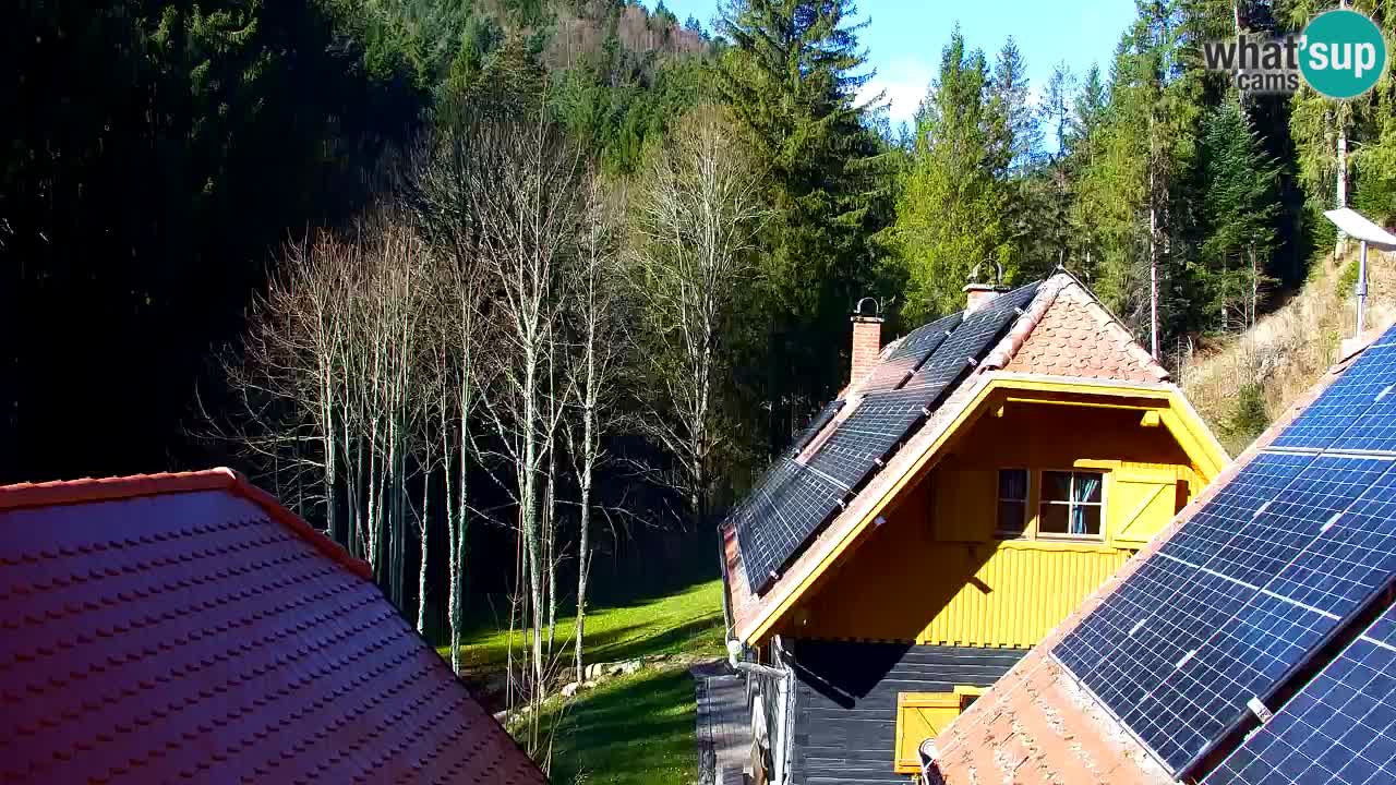 Webcam Lukanja – Pohorje houses a Water village