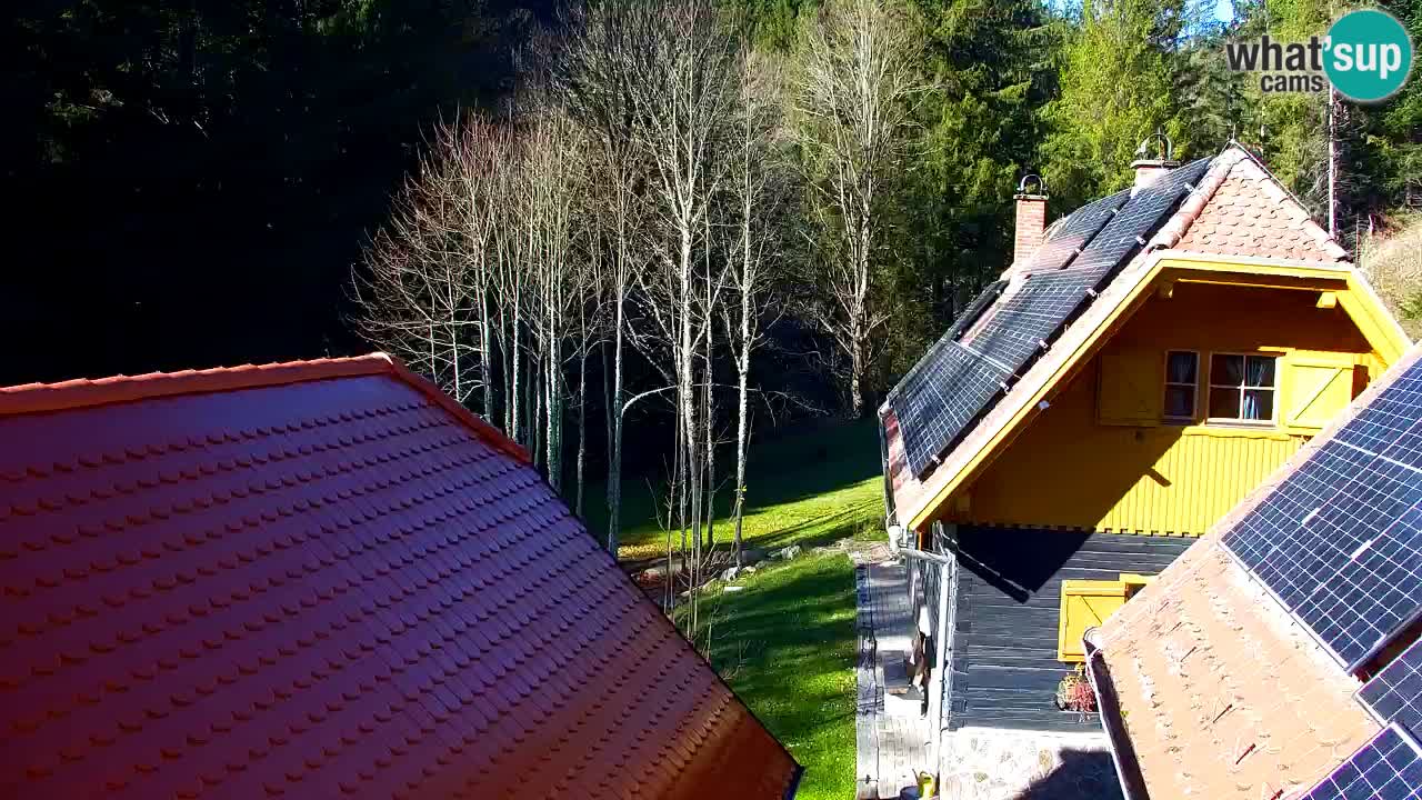 Webcam Lukanja – Pohorje houses a Water village