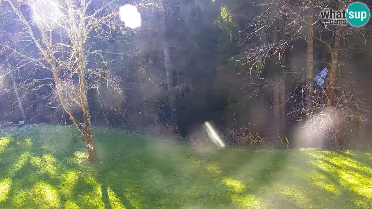 Webcam Lukanja – Water Village | Pohorje Houses