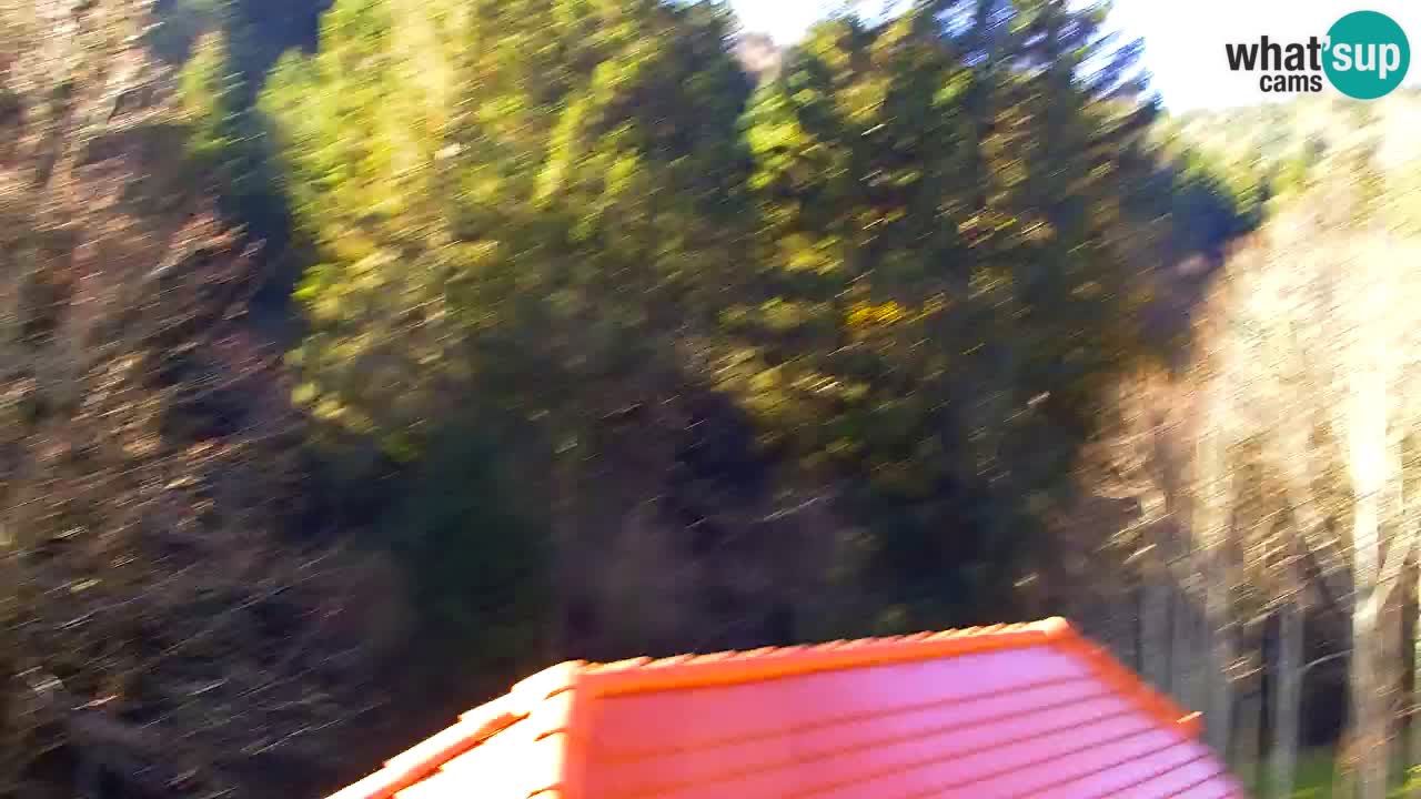 Webcam Lukanja – Pohorje houses a Water village