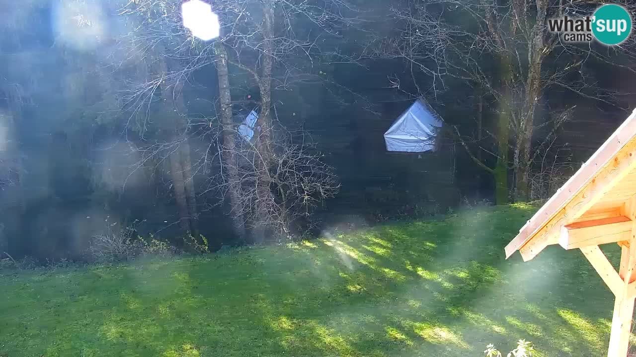 Web kamera Lukanja – Water Village | Pohorje Houses