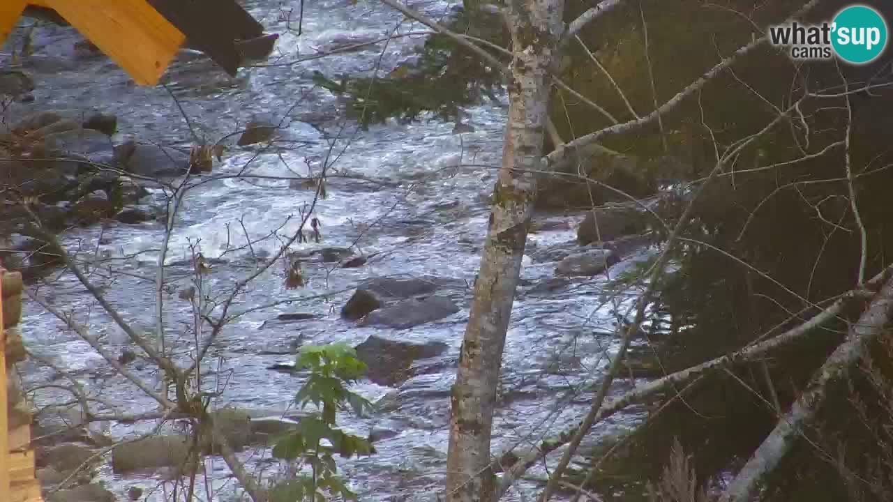 Webcam Lukanja – Pohorje houses a Water village