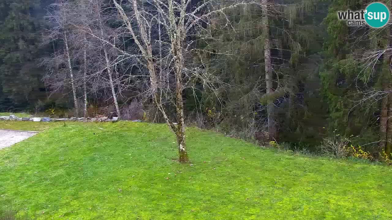 Webcam Lukanja – Pohorje houses a Water village