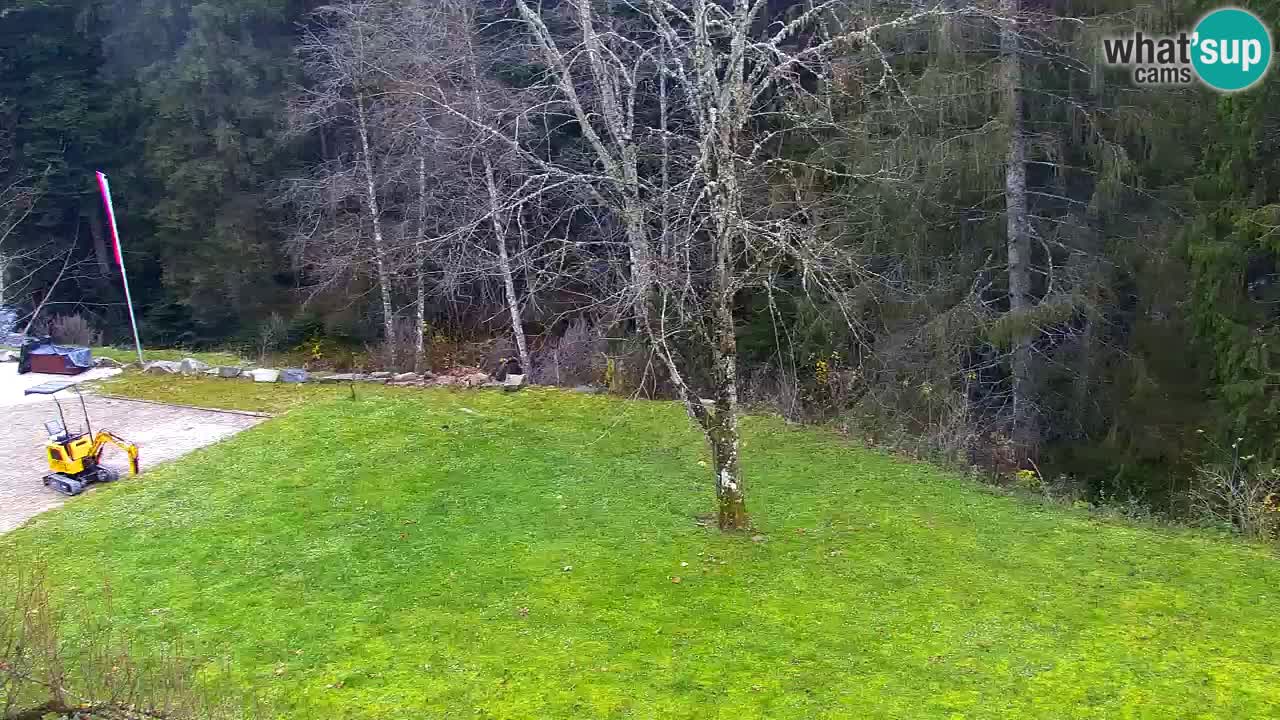 Webcam Lukanja – Pohorje houses a Water village