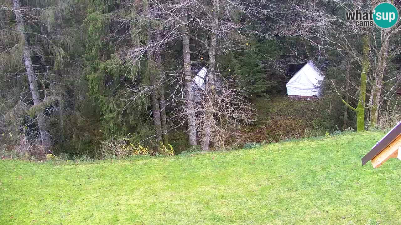 Webcam Lukanja – Water Village | Pohorje Houses