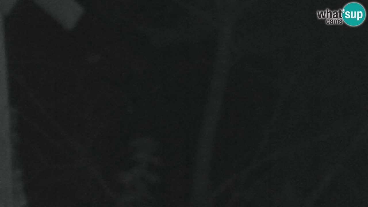 Webcam Lukanja – Water Village | Pohorje Houses