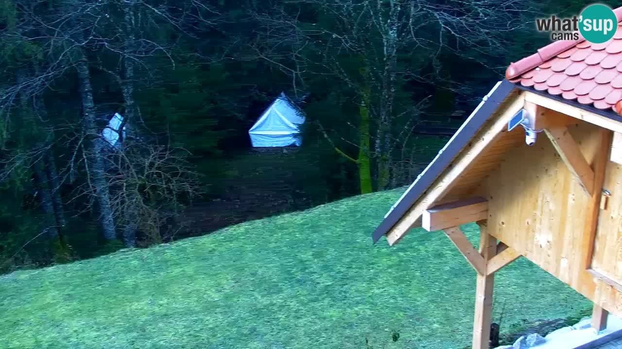 Web kamera Lukanja – Water Village | Pohorje Houses