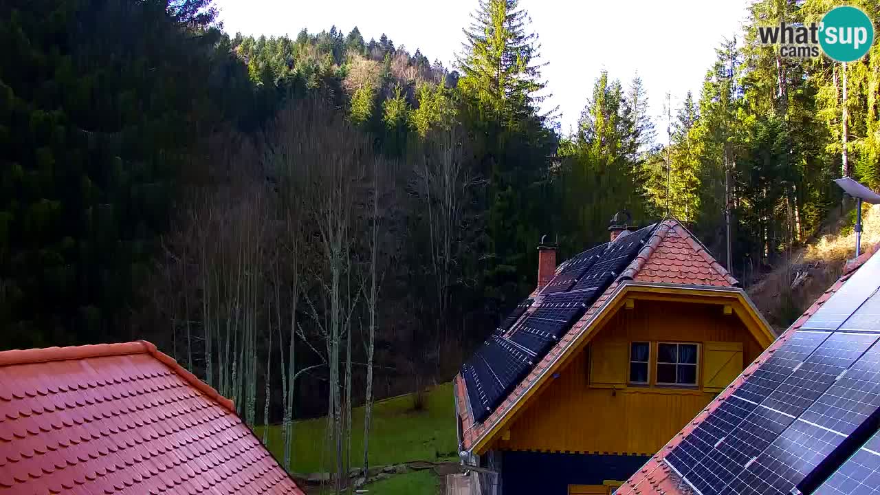 Webcam Lukanja – Water Village | Pohorje Houses