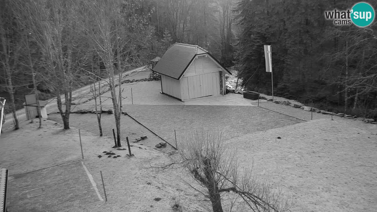 Webcam Lukanja – Water Village | Pohorje Houses