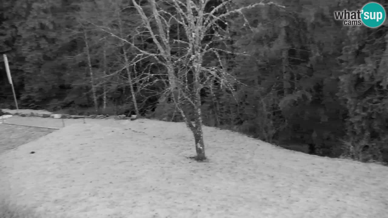 Webcam Lukanja – Water Village | Pohorje Houses