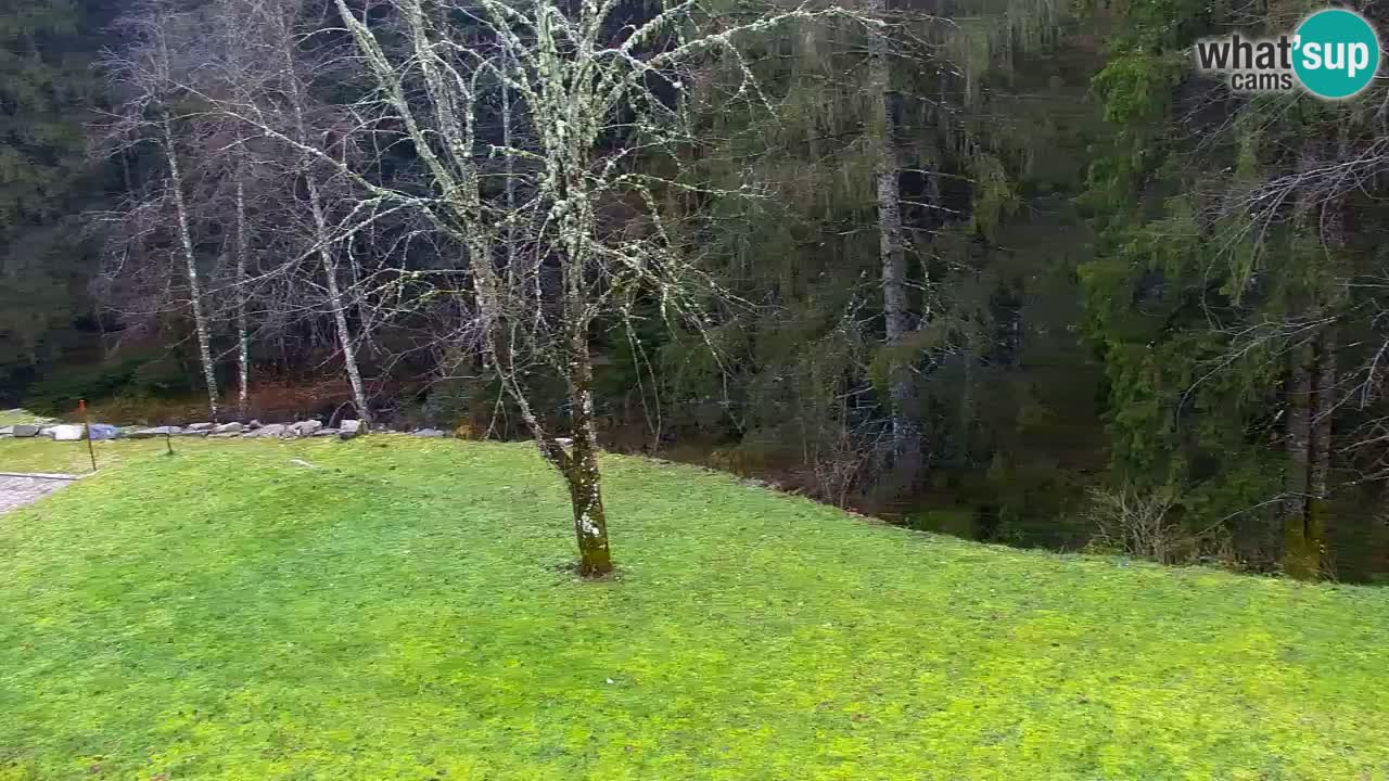 Spletna kamera Lukanja – Water Village | Pohorje Houses