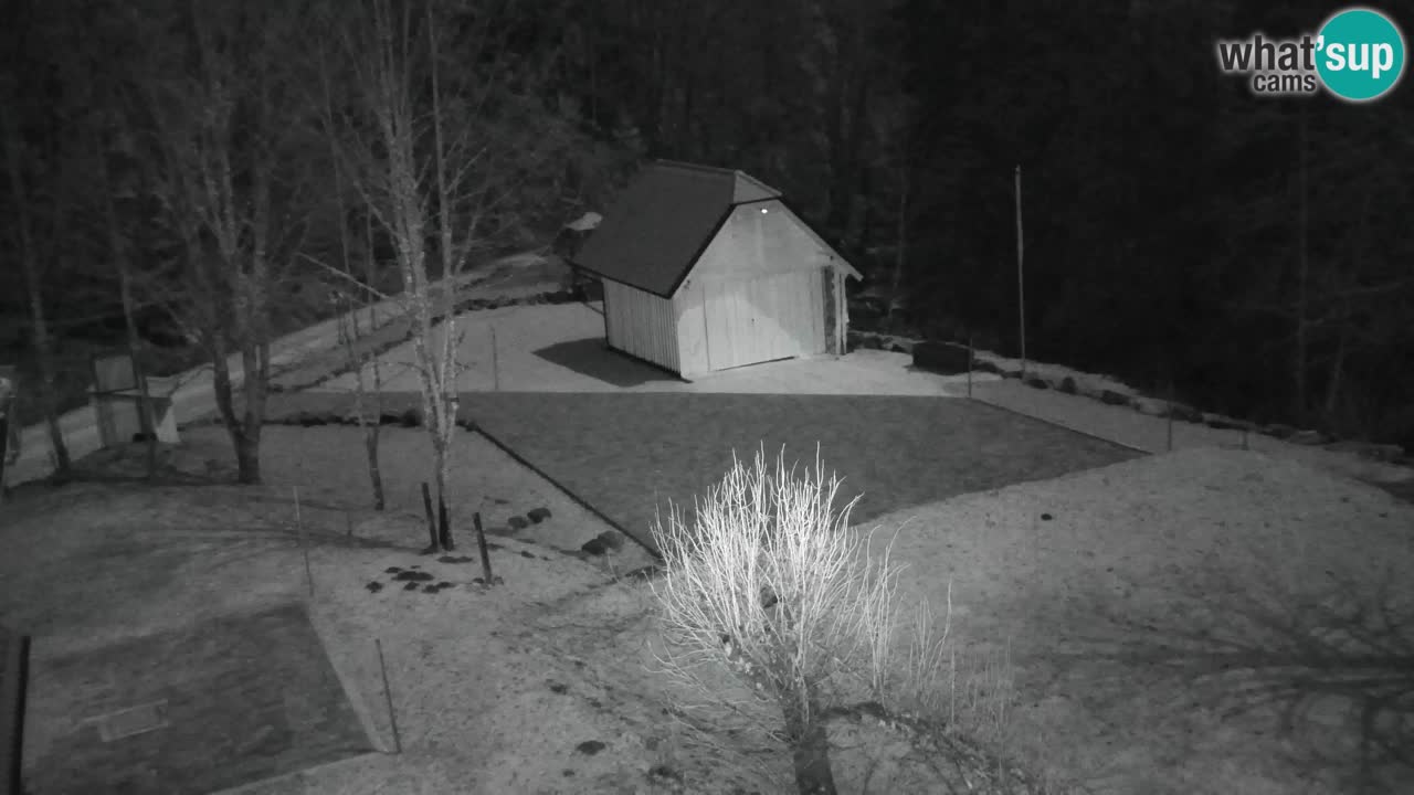 Webcam Lukanja – Pohorje houses a Water village