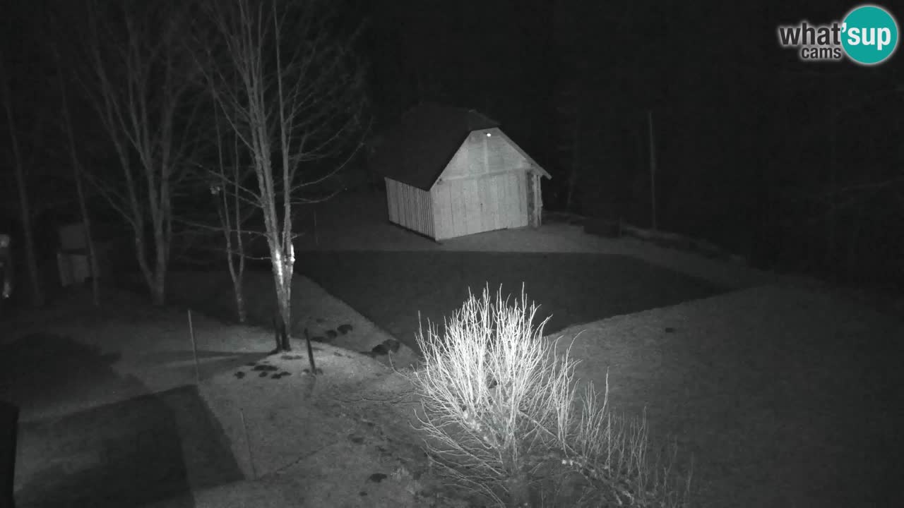 Webcam Lukanja – Pohorje houses a Water village