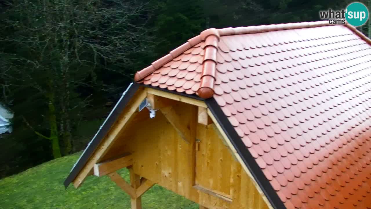 Webcam Lukanja – Pohorje houses a Water village