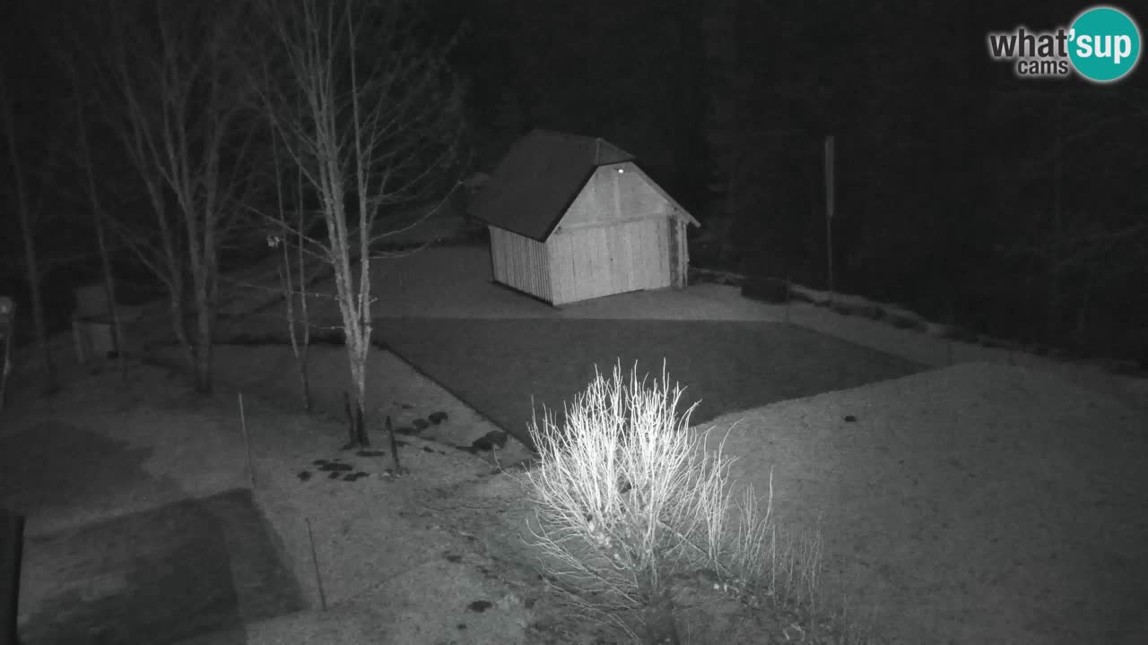 Webcam Lukanja – Pohorje houses a Water village