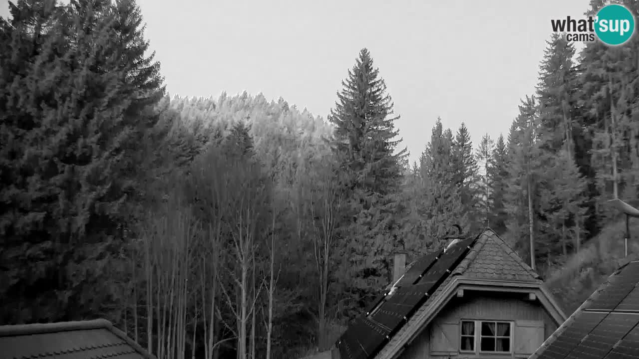 Webcam Lukanja – Pohorje houses a Water village