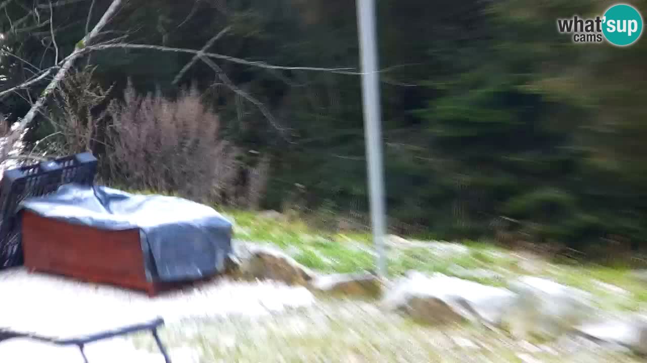 Webcam Lukanja – Pohorje houses a Water village