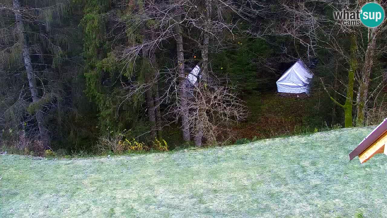 Spletna kamera Lukanja – Water Village | Pohorje Houses