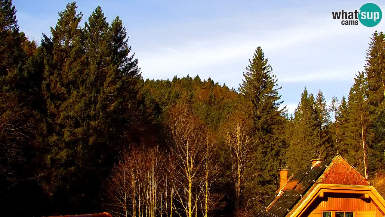 Webcam Lukanja – Pohorje houses a Water village