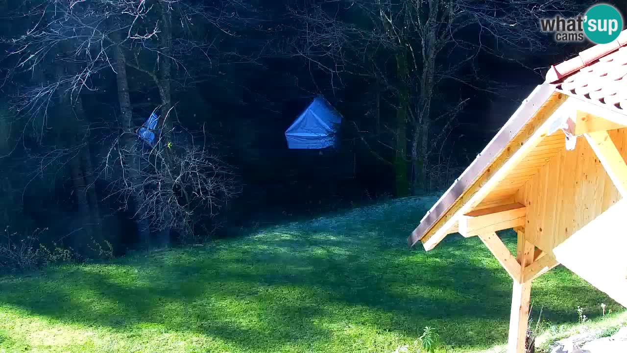 Webcam Lukanja – Water Village | Pohorje Houses