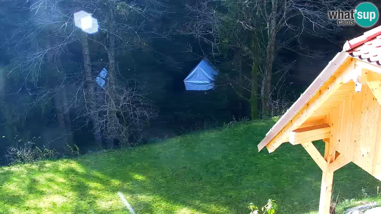 Webcam Lukanja – Water Village | Pohorje Houses