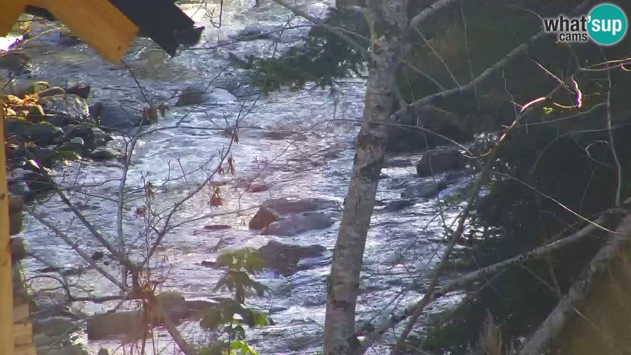 Webcam Lukanja – Pohorje houses a Water village