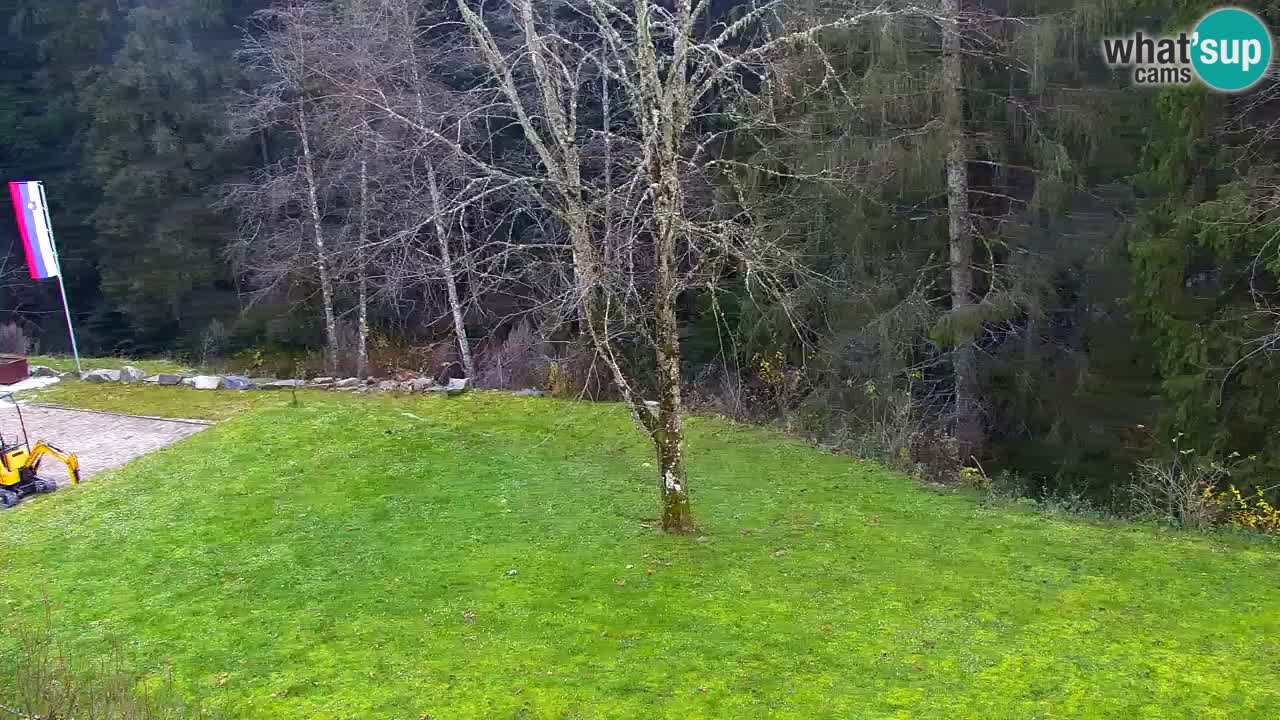 Webcam Lukanja – Water Village | Pohorje Houses