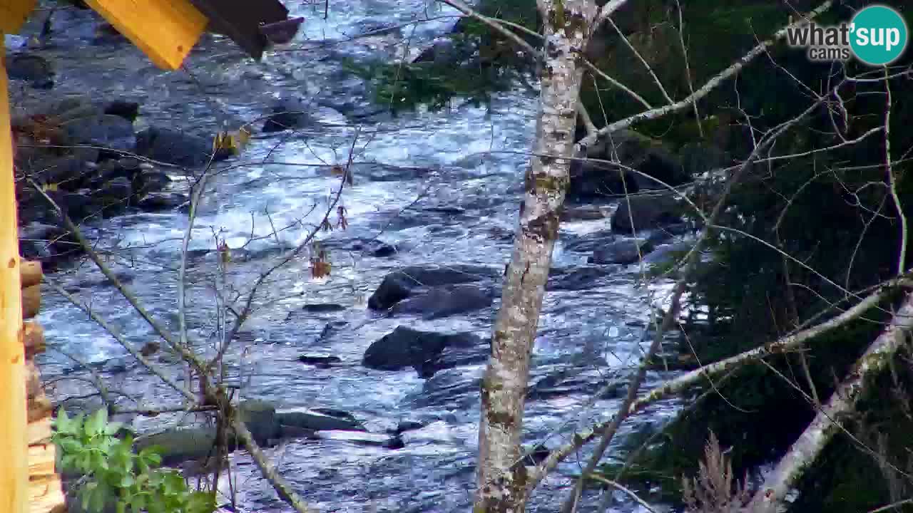 Webcam Lukanja – Pohorje houses a Water village